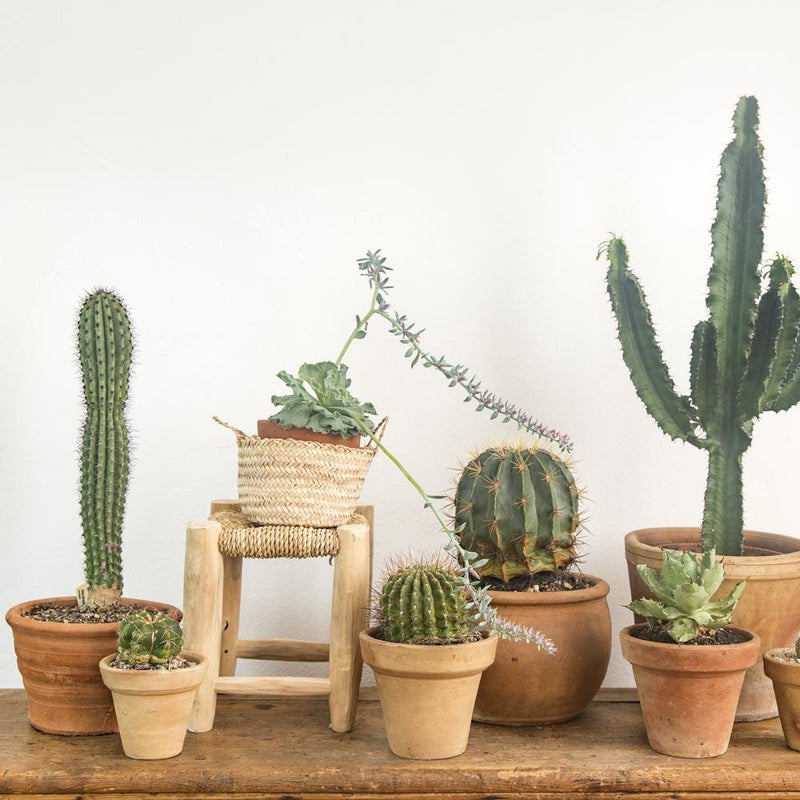 Blumentopf – Casa Eurabia, braun, Ø 20 cm, H 18 cm, Terrakotta, Marokko, Design