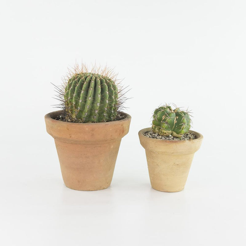 Blumentopf – Casa Eurabia, braun, Ø 14 cm, H 14 cm, Terrakotta, Marokko, Design