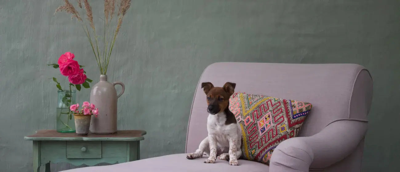 Kelim Kissen aus Marokko kaufen